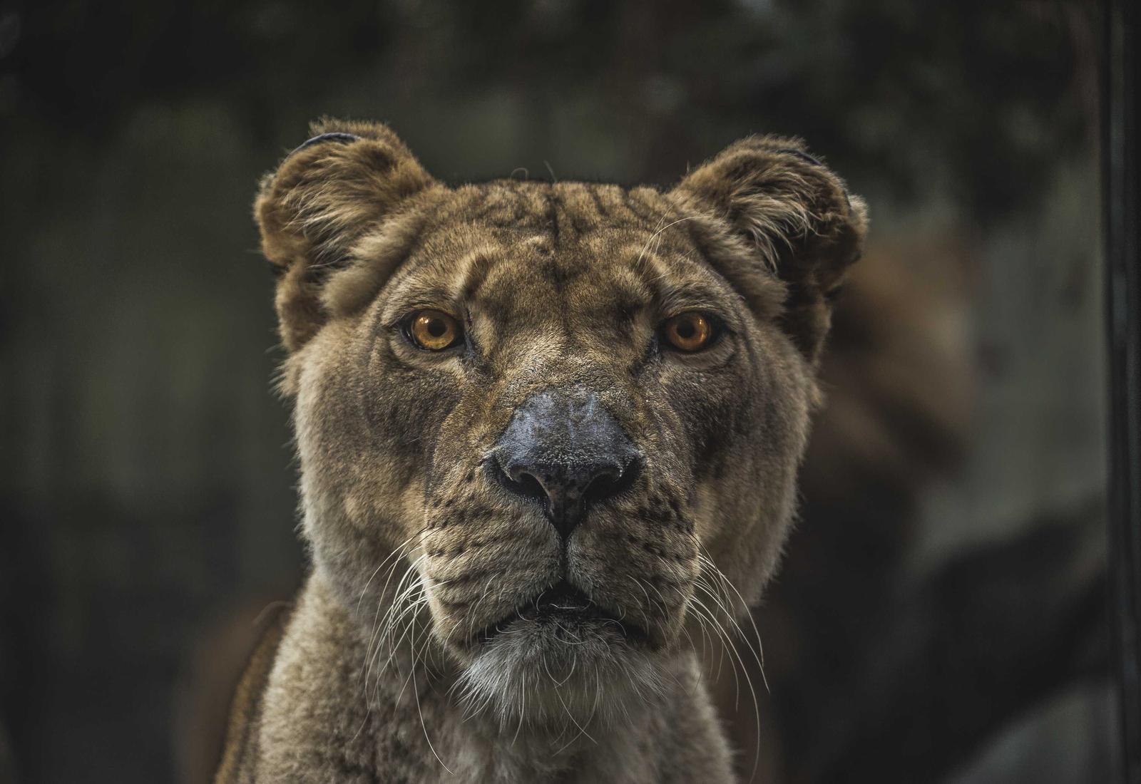 Kinderen in een veilige omgeving